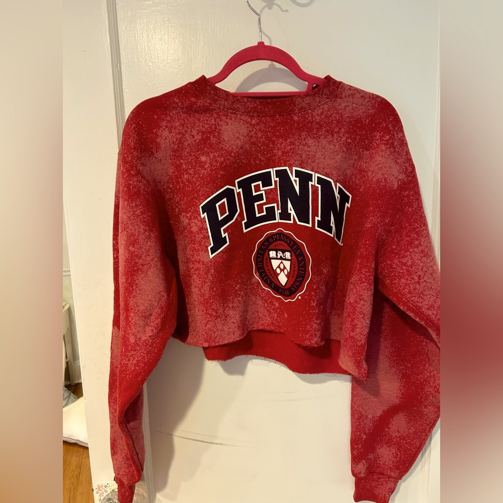University of Pennsylvania cropped sweatshirt